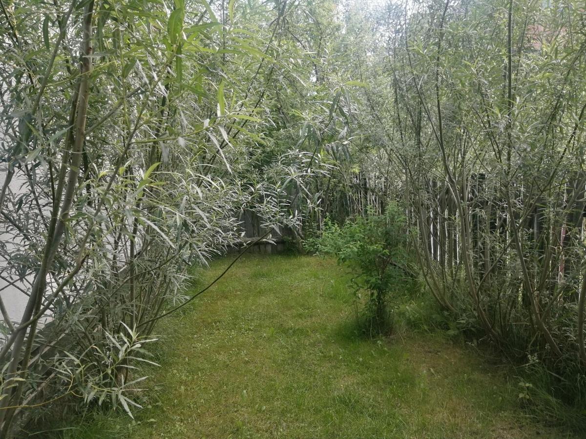 Ostoja Apartamento Białowieża Exterior foto