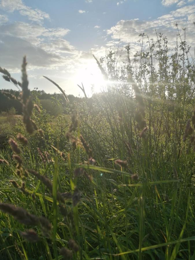 Ostoja Apartamento Białowieża Exterior foto