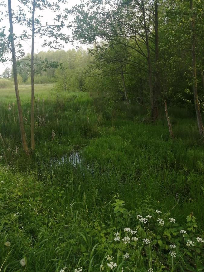 Ostoja Apartamento Białowieża Exterior foto