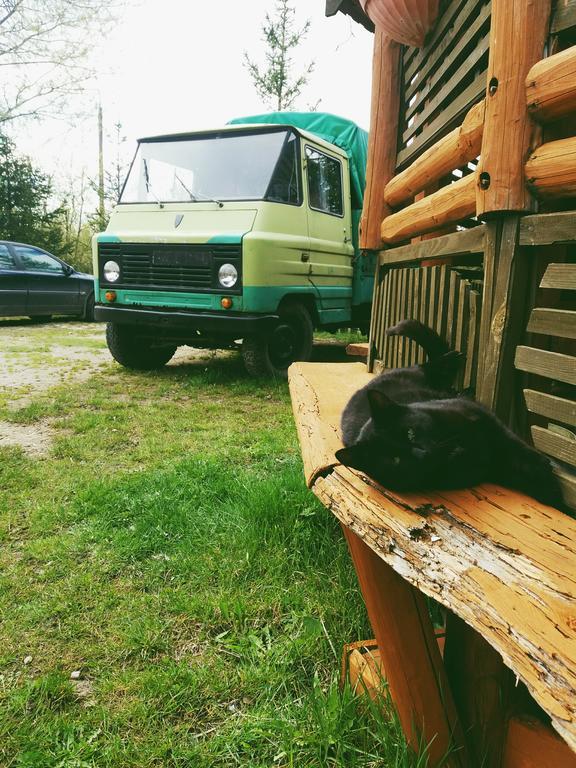 Apartamento Ostoja Białowieża Exterior foto