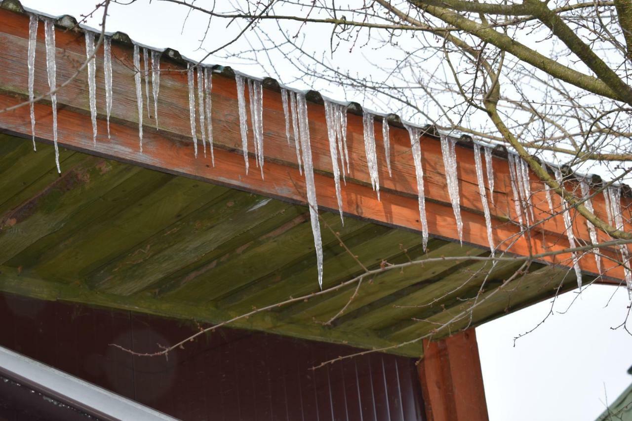 Ostoja Apartamento Białowieża Exterior foto